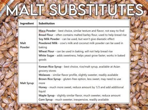 diastatic barley malt substitute